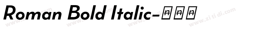 Roman Bold Italic字体转换